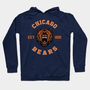 Bears - CCGO Vintage Hoodie